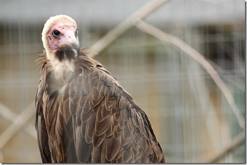 MARTIN_2011_07_14_3523 MARTIN_2011_07_14_3523