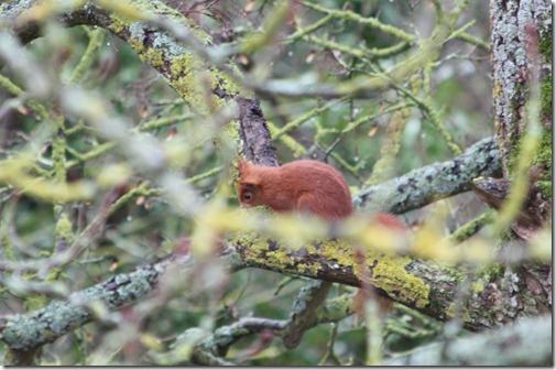 MARTIN_2012_01_24_4091