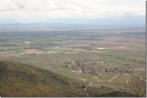 MARTIN_2012_04_21_4545