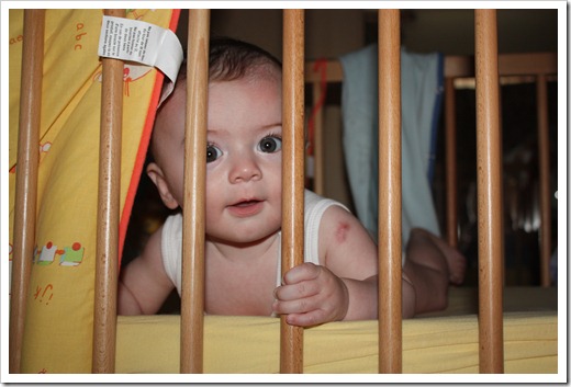 MARTIN_2010_08_21_1790