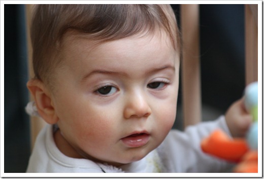 MARTIN_2010_11_23_2315 MARTIN_2010_11_23_2315