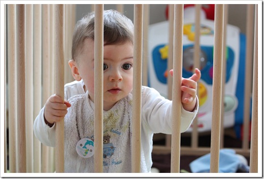 MARTIN_2010_11_23_2318