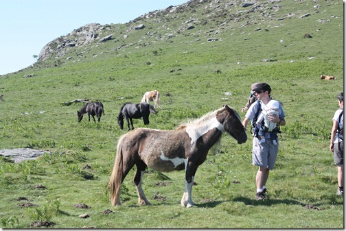 MARTIN_2012_06_14_4827