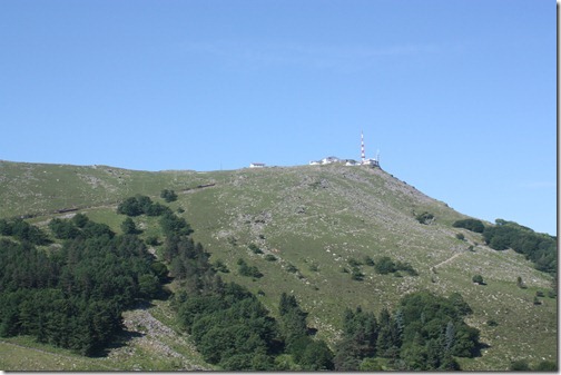 MARTIN_2012_06_14_4834