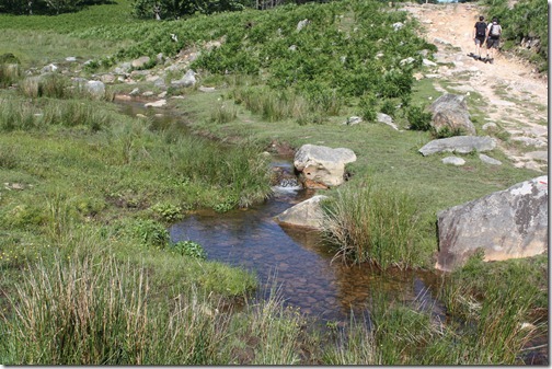 MARTIN_2012_06_14_4836