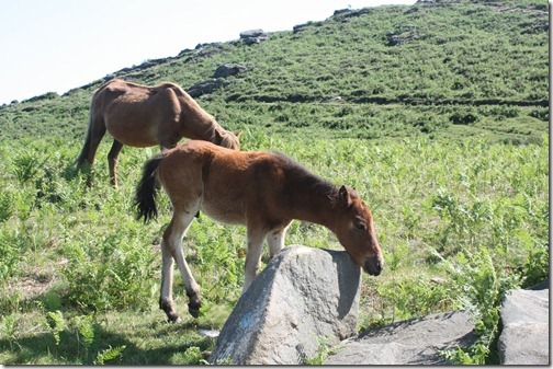 MARTIN_2012_06_14_4839