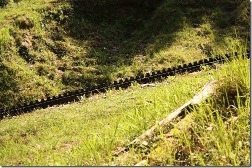 MARTIN_2012_06_14_4898